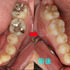 2019 EEdental SS (0).jpg
