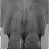 2019 EEdental HE (2).jpg