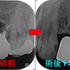 2019 EEdental SE (2).jpg