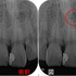 2020 EEdental WK (2).jpg