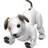2020 aibo1.JPG