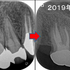 2020 EEdental ST (4).jpg