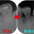 2022 EEdental TS (3).jpg