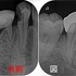2022 EEdental YaM (2).jpg