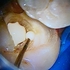 2022 EEdental ITT (7).jpg