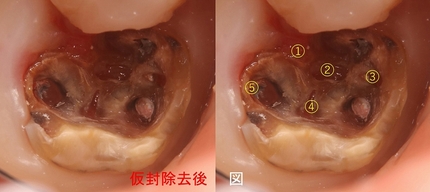 2023 EEdental YAY (2).jpg