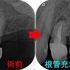 2023 EEdental SUR (2).jpg