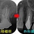 2023 EEdental WAM (8).jpg