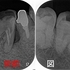 2023 EEdental KUM (1).jpg