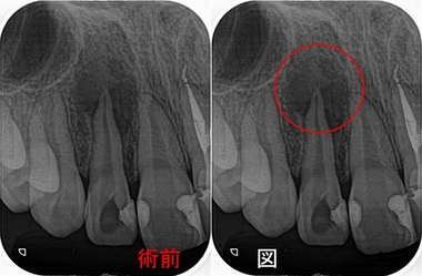 2024 EEdental HOH (1).jpg