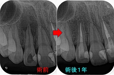 2024 EEdental HOH (4).jpg