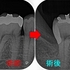 2024 EEdental IIN (2).jpg