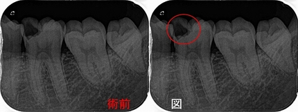 2024 EEdental ILH (1).jpg