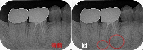 2024 EEdental KAT (1).jpg