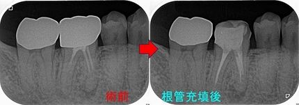 2024 EEdental KAT (2).jpg