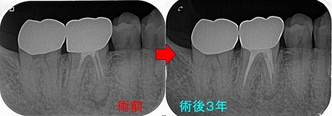 2024 EEdental KAT (6).jpg