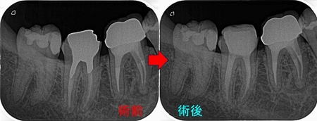 2024 EEdental MIE1.jpg