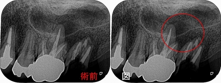 2024 EEdental MUH (1).jpg