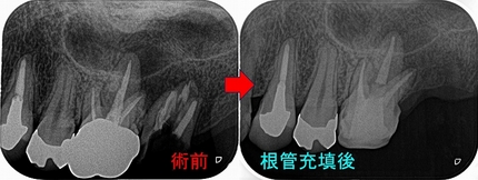 2024 EEdental MUH (2).jpg