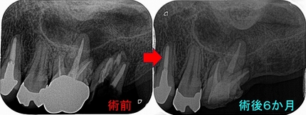 2024 EEdental MUH (3).jpg