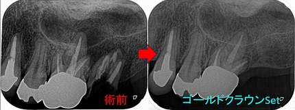 2024 EEdental MUH (4).jpg