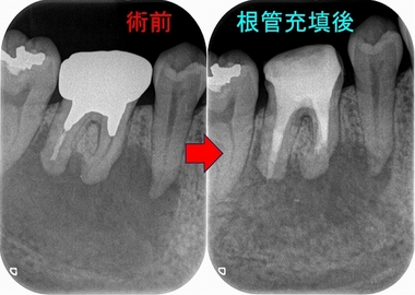 2024 EEdental NAS (2).jpg