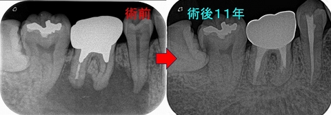 2024 EEdental NAS (3).jpg