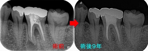 2024 EEdental NAS (6).jpg