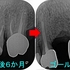 2024 EEdental OOK (2).jpg