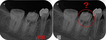 2024 EEdental SAT (1).jpg