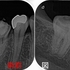 2024 EEdental SAT (1).jpg