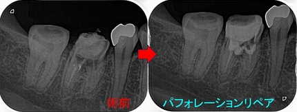 2024 EEdental SAT (2).jpg