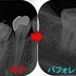 2024 EEdental SAT (2).jpg