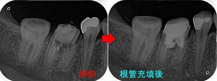 2024 EEdental SAT (3).jpg