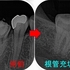 2024 EEdental SAT (3).jpg