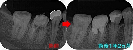 2024 EEdental SAT (4).jpg