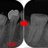 2024 EEdental SAT (4).jpg