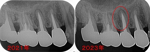 2024 EEdental SUK (2).jpg