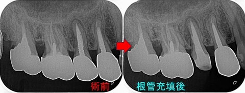 2024 EEdental SUK (3).jpg