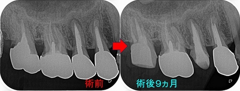 2024 EEdental SUK (4).jpg