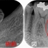 2024 EEdental  TUM (1).jpg