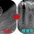 2024 EEdental  TUM (2).jpg