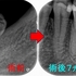 2024 EEdental  TUM (3).jpg