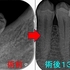 2024 EEdental  TUM (4).jpg