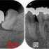 2024 EEdental MAY (1).jpg