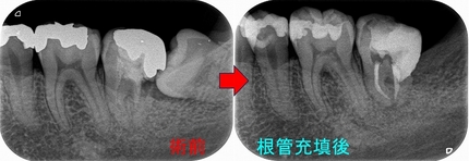 2024 EEdental MAY (3).jpg