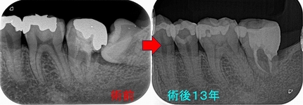 2024 EEdental MAY (4).jpg