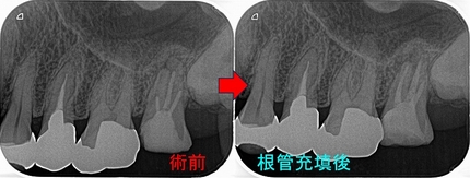 2024 EEdental NMI (2).jpg