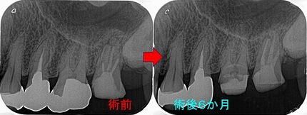 2024 EEdental NMI (3).jpg