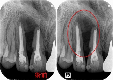 2024 EEdental OGM (1).jpg